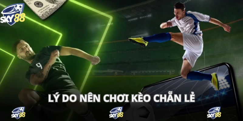 Bạn nên ưu tiên chọn cá độ cược chẵn lẻ khi mới học chơi