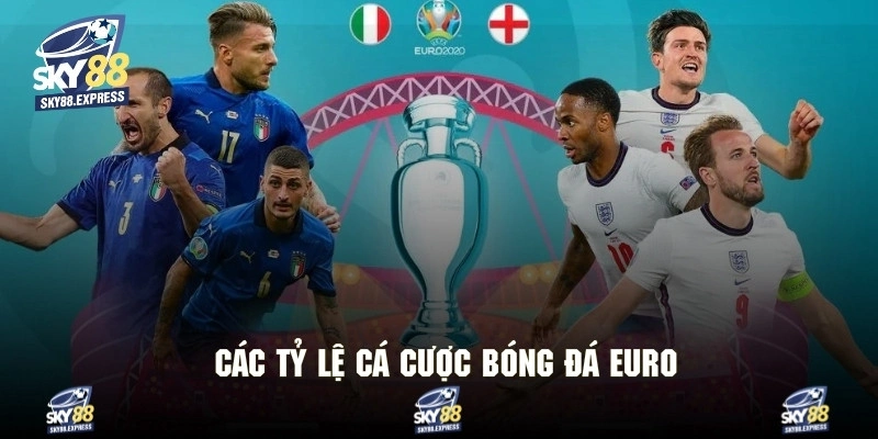 Giới thiệu vài tỷ lệ cá cược bóng đá Euro phổ biến nhất
